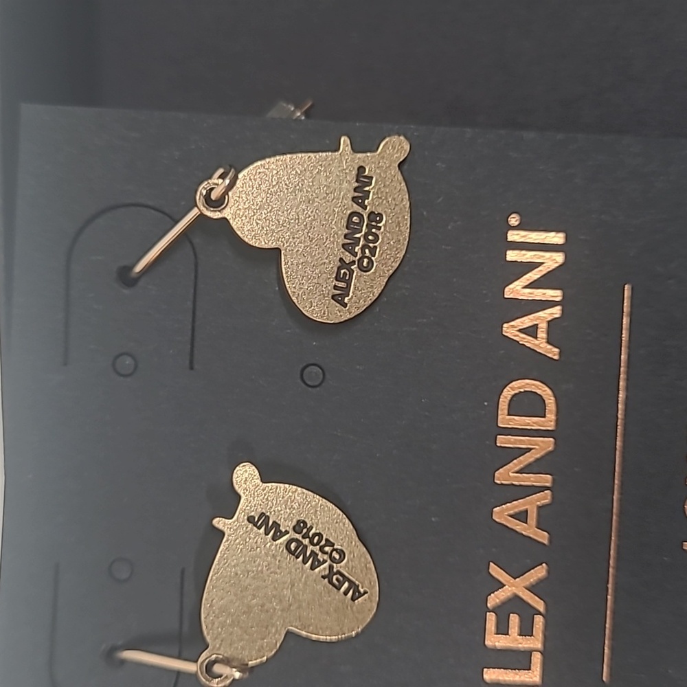 Alex and Ani Women's Heart Shaped Love Earrings - Picture 4 of 7
